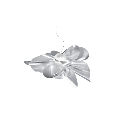 ETOLIE BÜYÜK BOY SARKIT