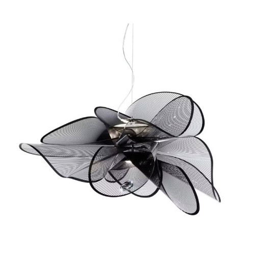 LA BELLE ETOILE BÜYÜK BOY