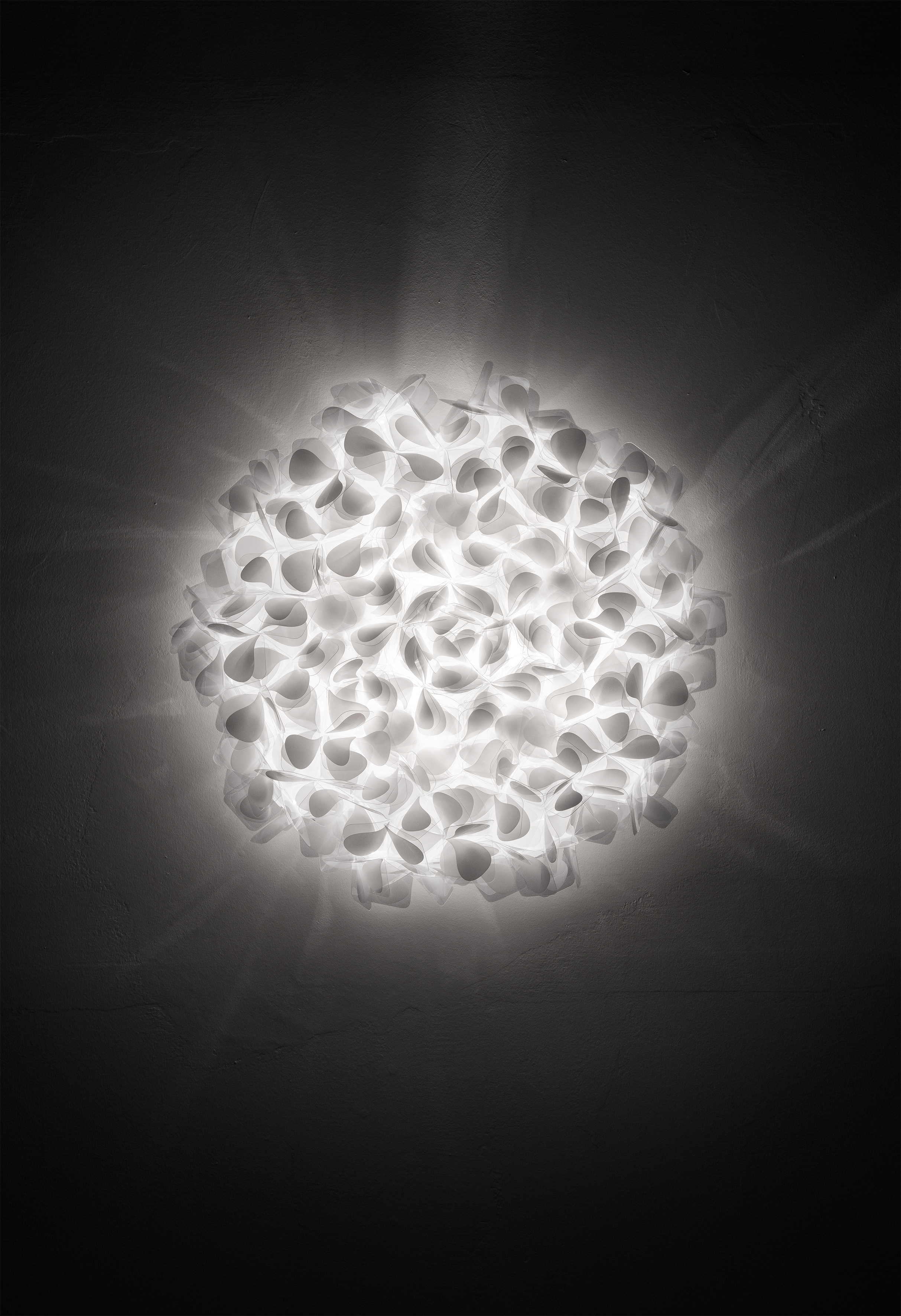 CLIZIA MAMA NON MAMA LARGE CEILING/WALL