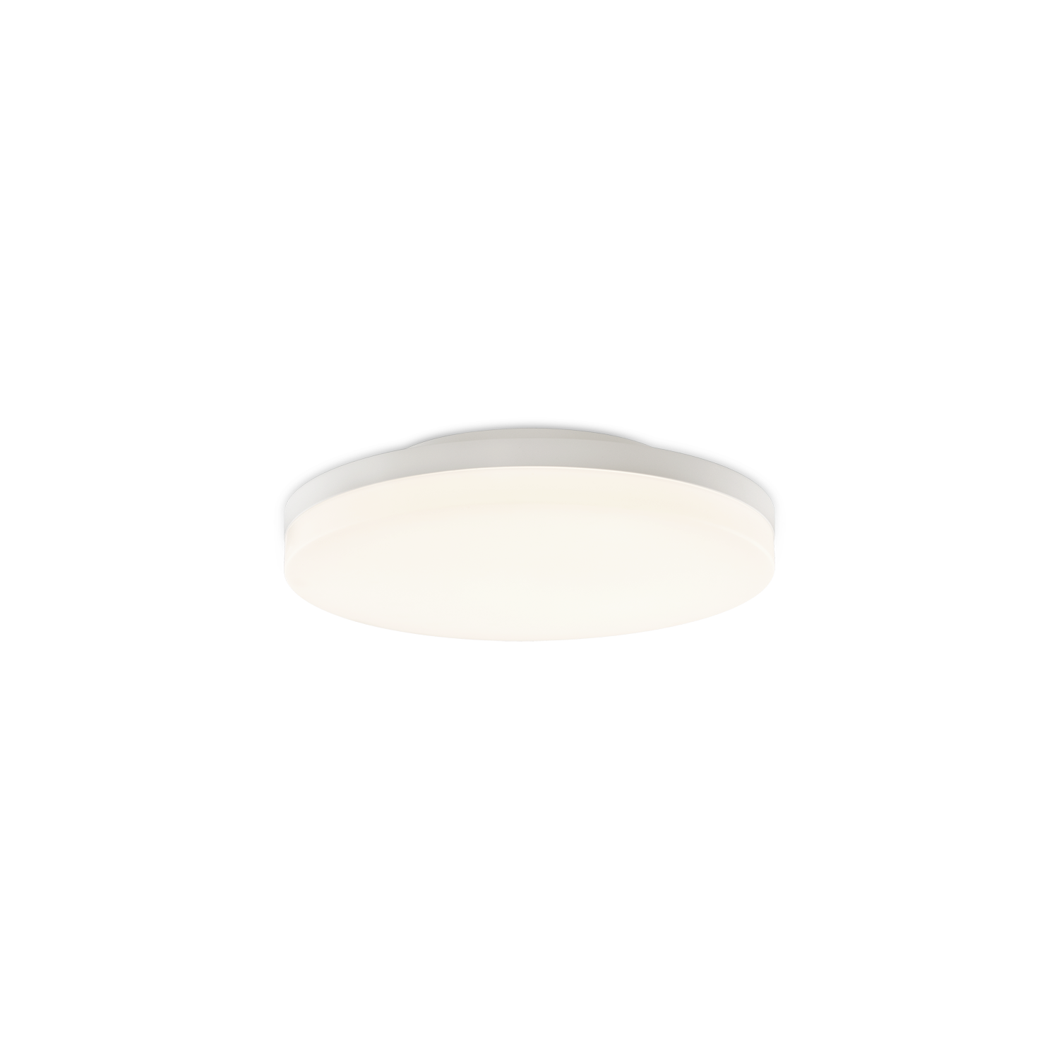 ANGUS CEILING