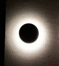 OVA 1L WALL LAMP - alt