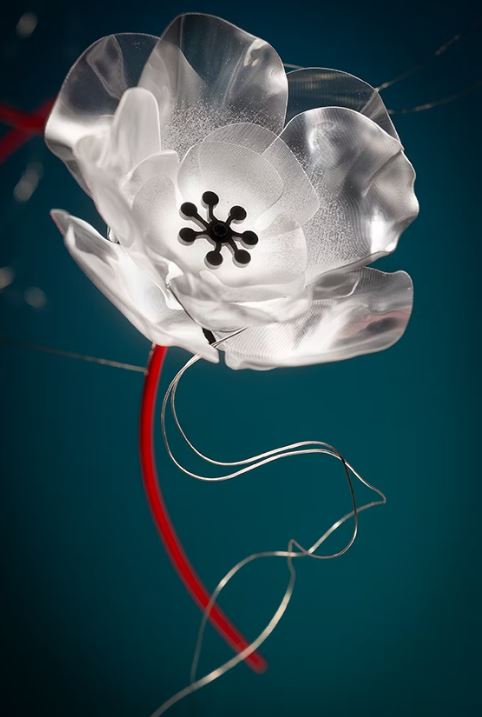 POPPY 14L SUSPENSION